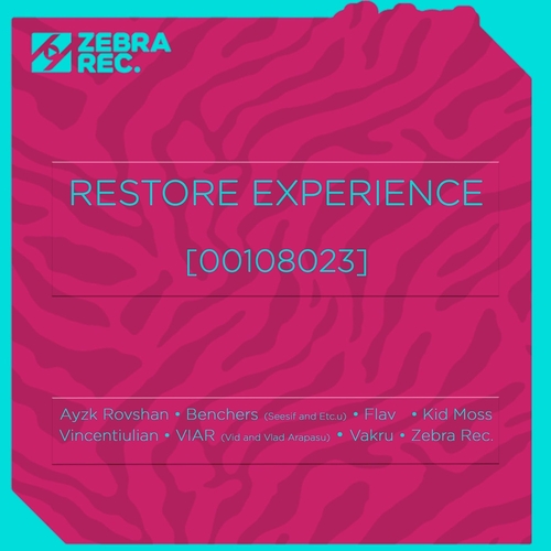 VA - Restore Experience (00108023) 1674974